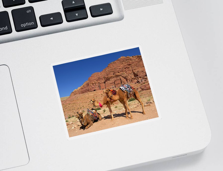 Petra Sticker featuring the photograph The Royal Tombs by Tony Beck