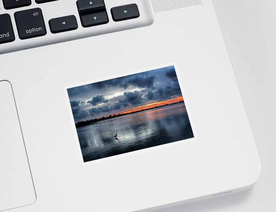 Birds Sticker featuring the photograph The Solitary Fisherman - Florida Sunset by HH Photography of Florida