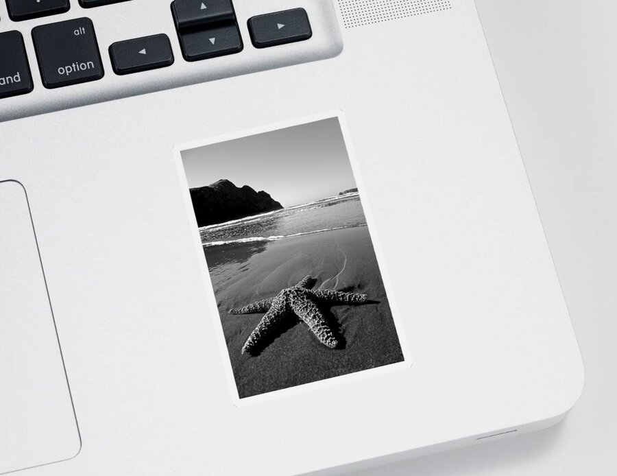 Starfish Sticker featuring the photograph The Starfish by Peter Tellone