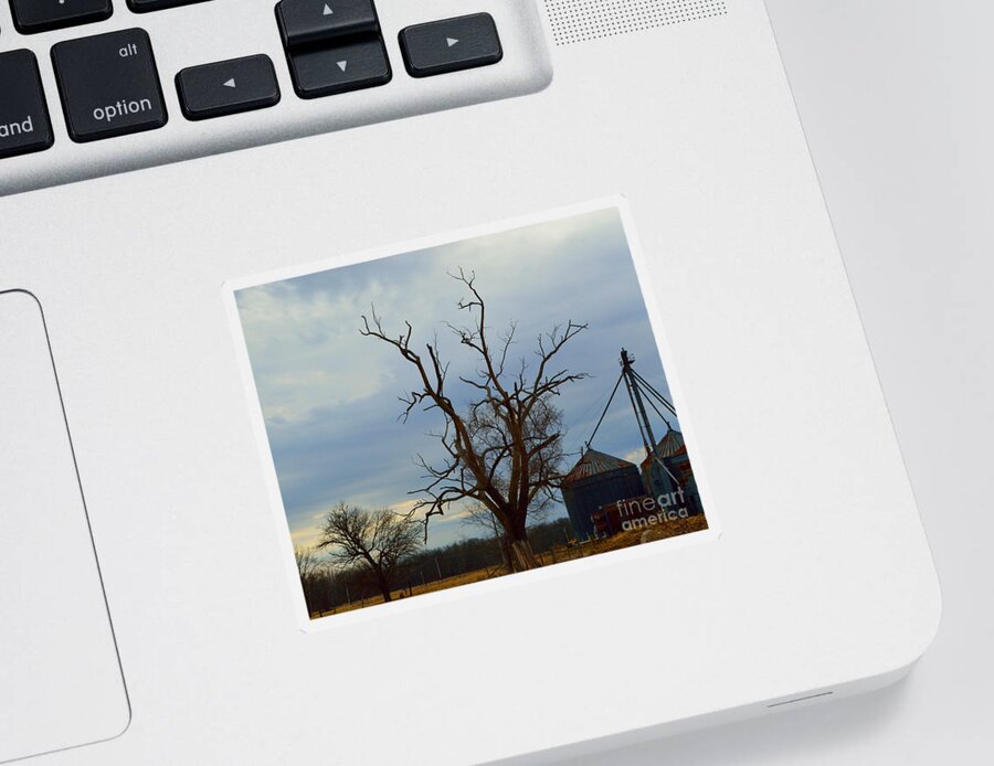 Tree Sticker featuring the photograph The Stark Tree by Alys Caviness-Gober