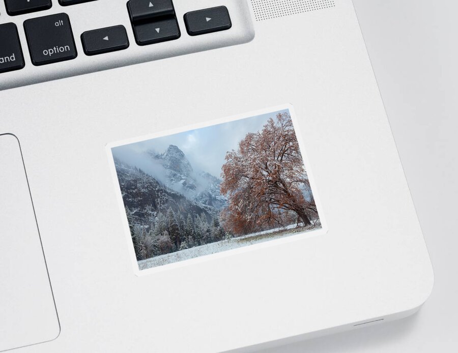 Landscape Sticker featuring the photograph The Two Seasons by Jonathan Nguyen