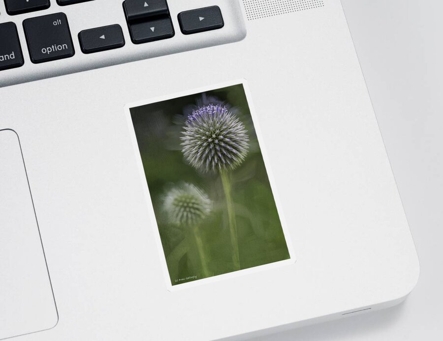 Flower Sticker featuring the photograph Thistle by Fran Gallogly