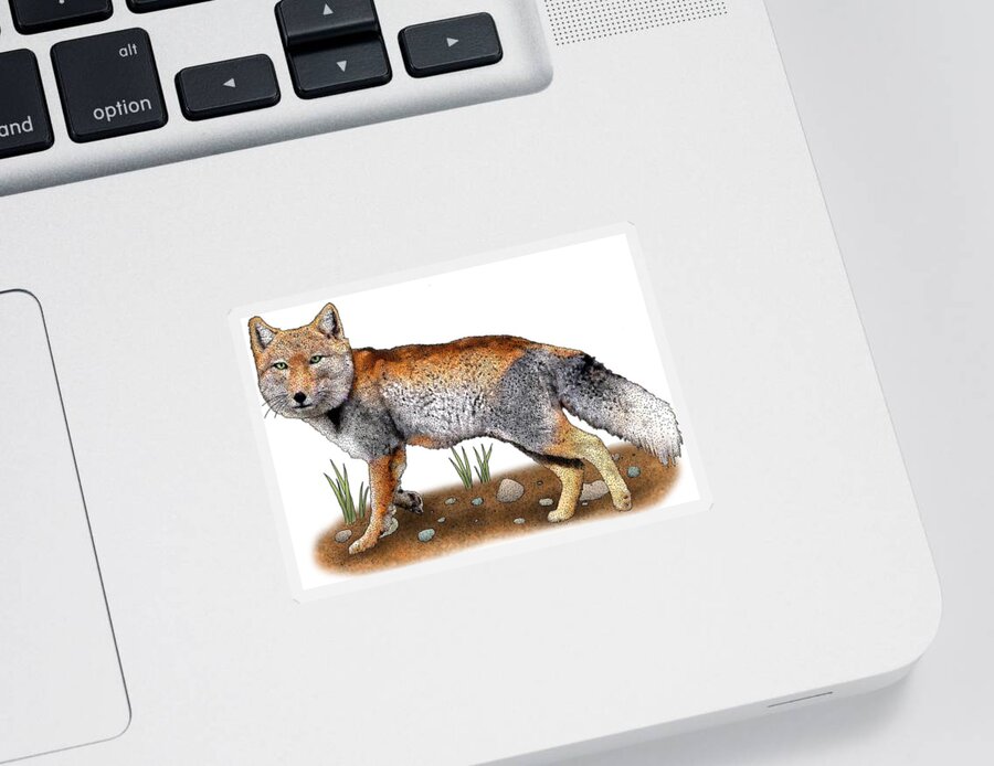 Tibetan Sand Fox Sticker featuring the photograph Tibetan Sand Fox by Roger Hall