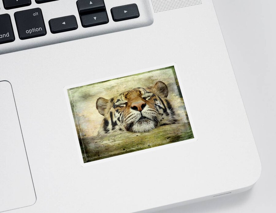 Tiger Sticker featuring the photograph Tiger Snooze by Athena Mckinzie