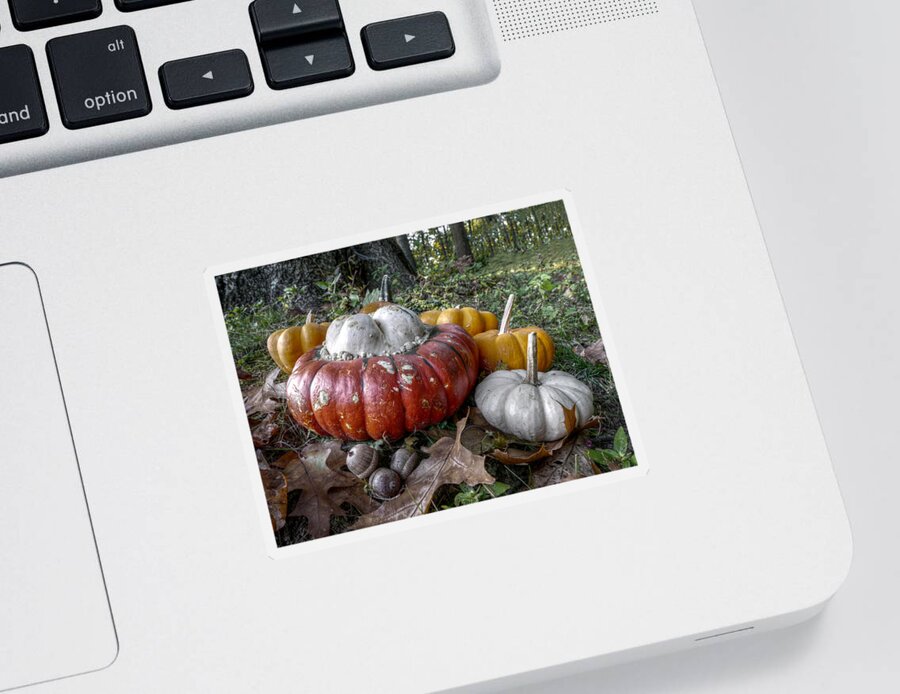 Richard Reeve Sticker featuring the photograph To Swell the Gourd by Richard Reeve