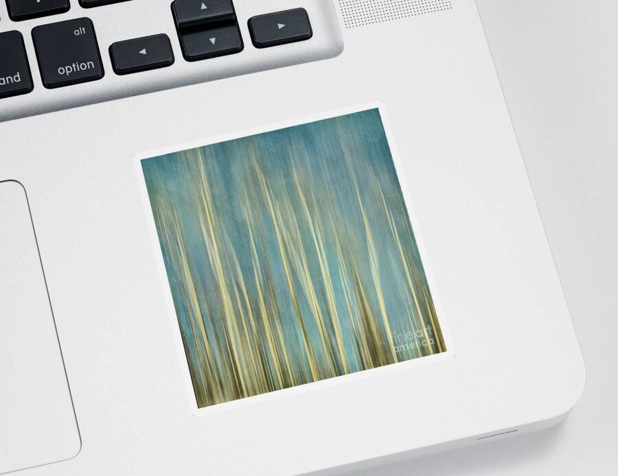 Trees Sticker featuring the photograph Touching The Sky by Priska Wettstein