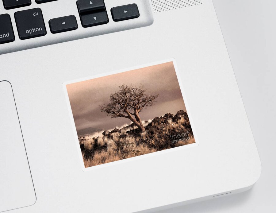 Textured Landscape Sticker featuring the photograph Tree at Dusk in Waikoloa by Ellen Cotton