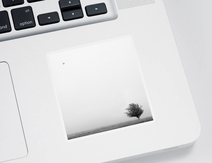 Landscape Sticker featuring the photograph Tree in the Wind by Mike McGlothlen