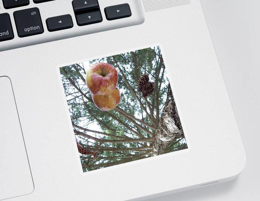 Tree Sticker featuring the photograph Tree Spiral by Michelle Miron-Rebbe