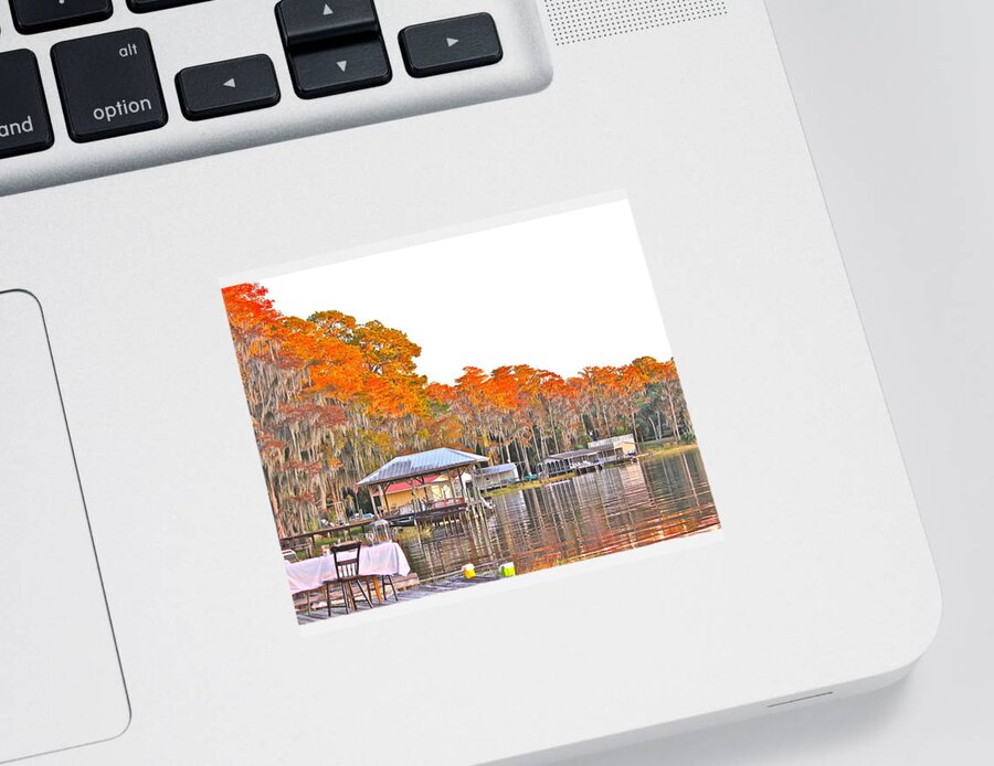 All Products Sticker featuring the photograph Trees By The Lake by Lorna Maza