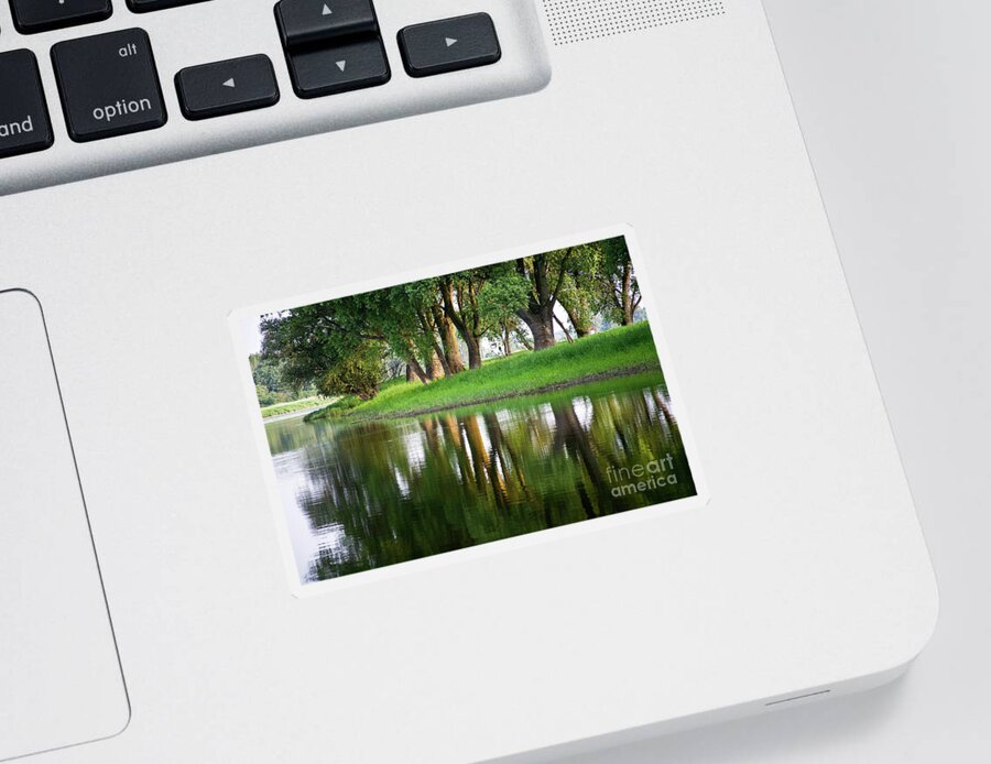 Water Sticker featuring the photograph Trees Reflection on the Lake by Heiko Koehrer-Wagner