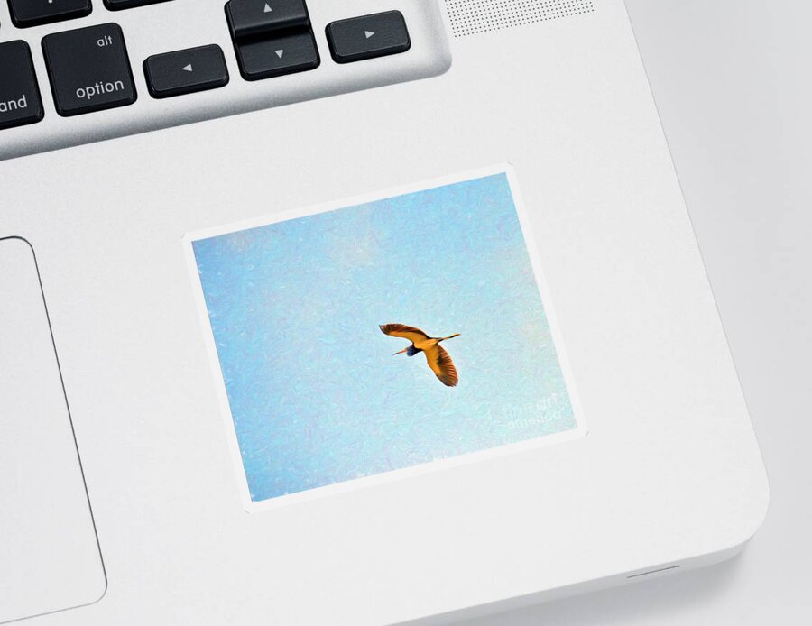 Tricolored Heron Sticker featuring the photograph Tricolored Heron Flight by Kerri Farley