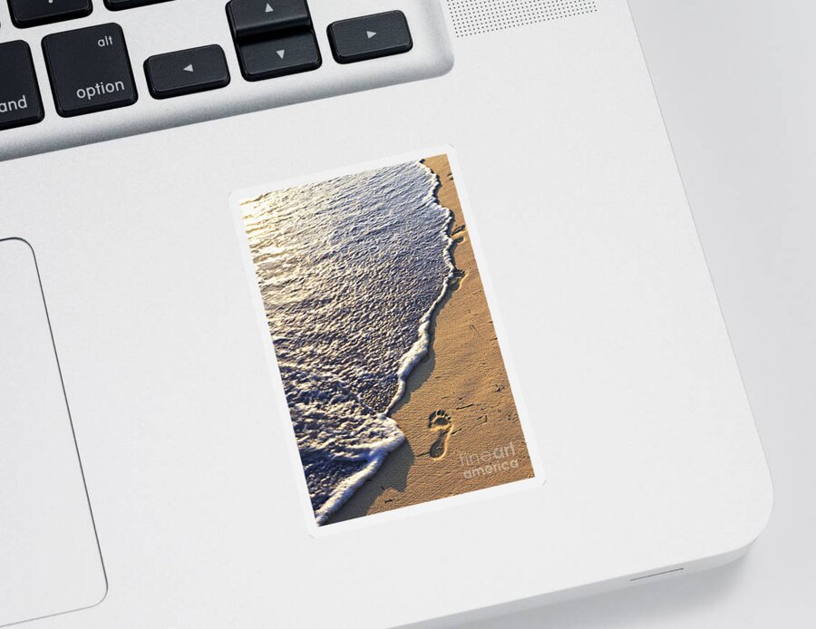 Footstep Sticker featuring the photograph Tropical beach with footprints by Elena Elisseeva