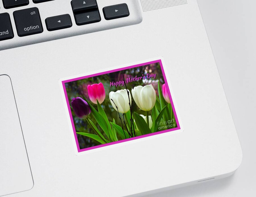 White Tulips Sticker featuring the photograph Tulips for Mother's Day by Joan-Violet Stretch