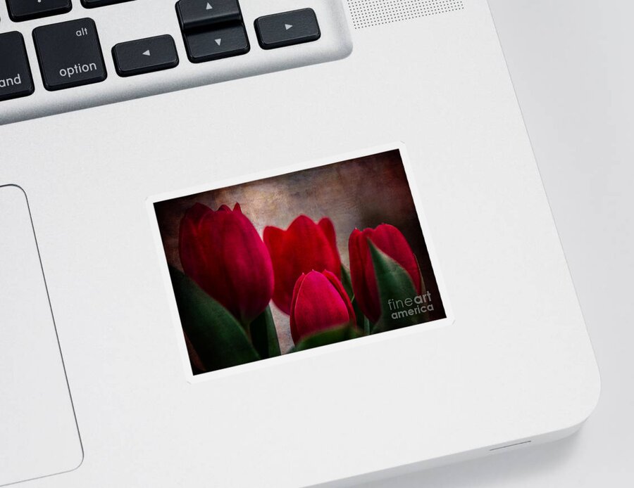 Tulips Sticker featuring the photograph Tulips by Judy Wolinsky