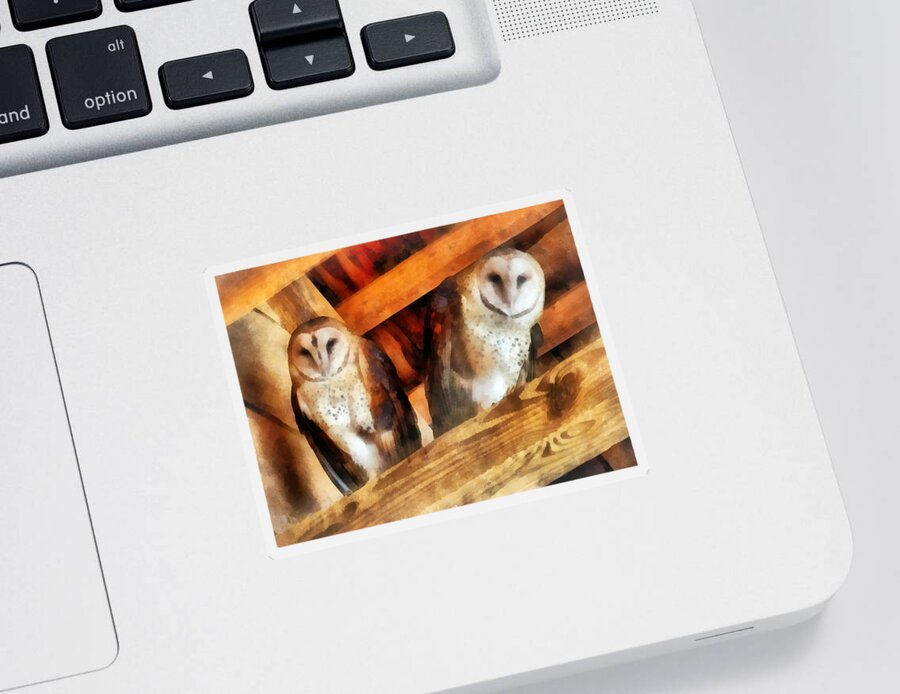 Owl Sticker featuring the photograph Two Barn Owls by Susan Savad