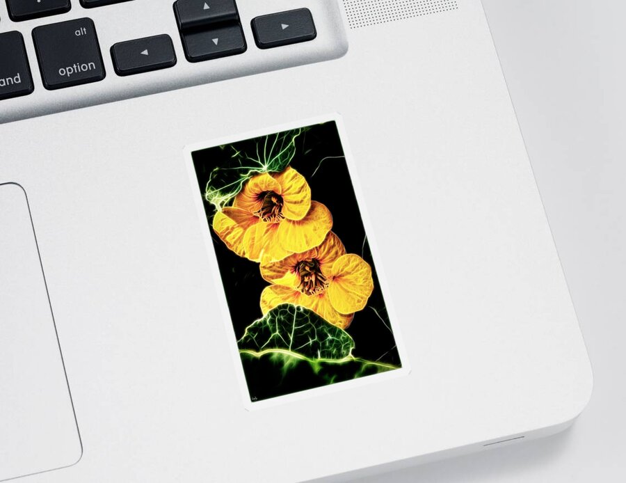 Nasturtium Sticker featuring the photograph Two Shy Sisters fractal by Weston Westmoreland