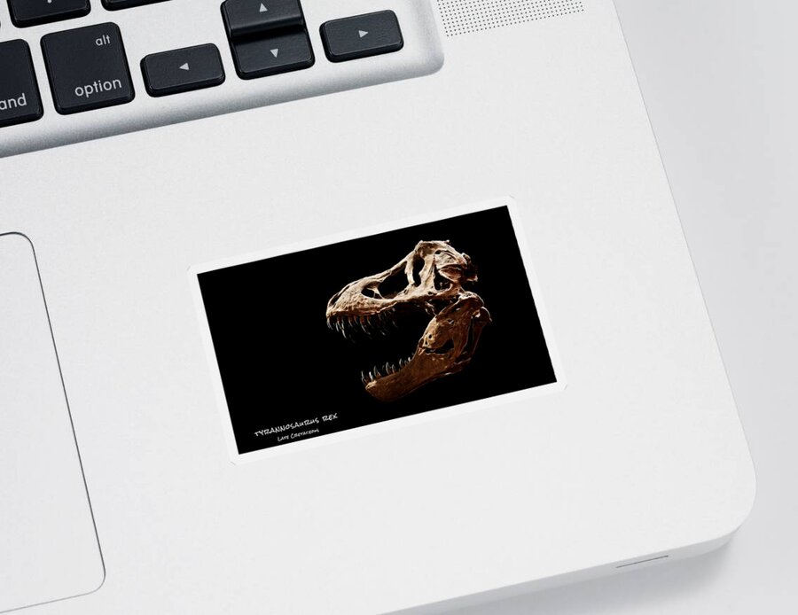 Tyrannosaurus Rex Skull Sticker featuring the photograph Tyrannosaurus rex skull 4 by Weston Westmoreland