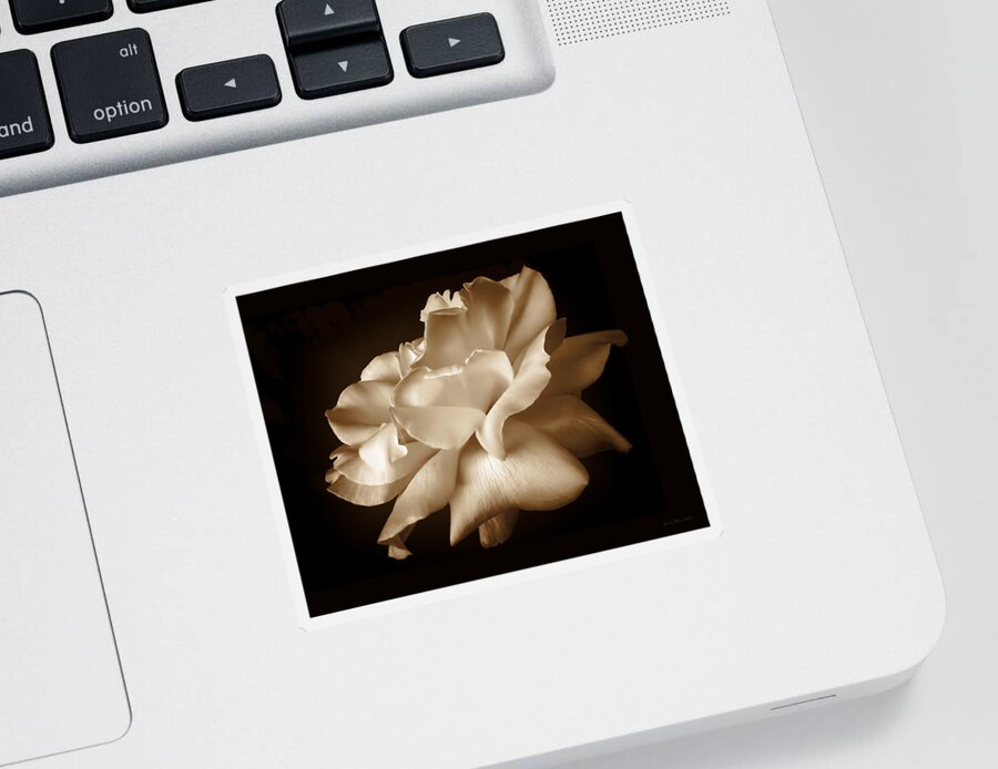 Rose Sticker featuring the photograph Umber Rose Floral Petals by Jennie Marie Schell
