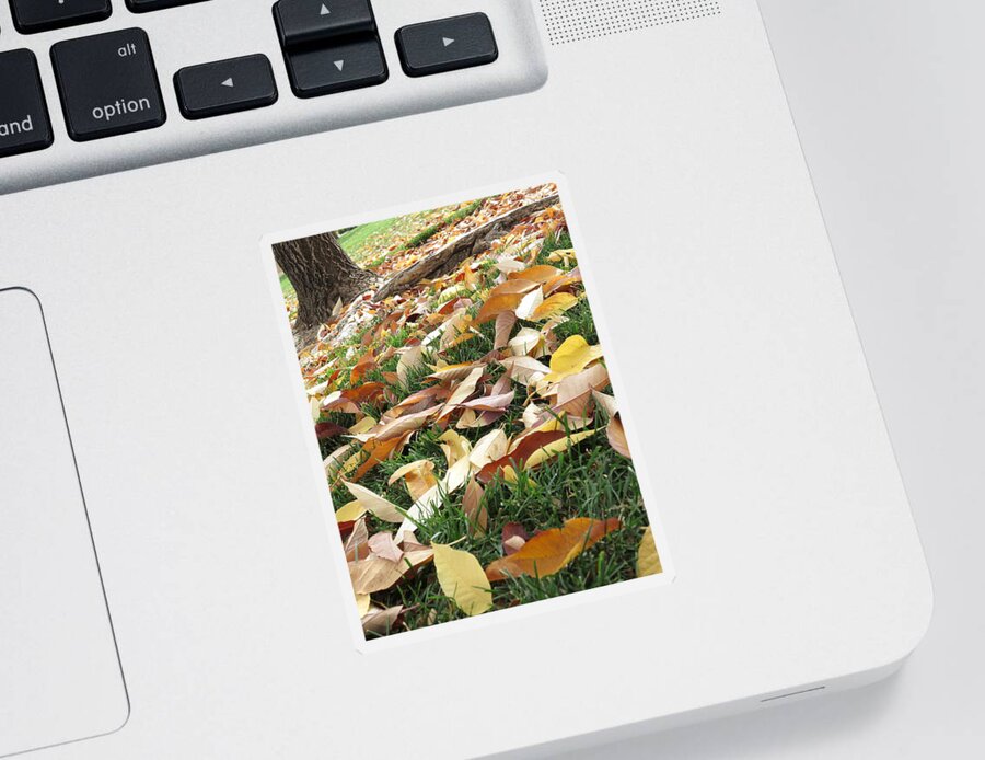 Fall Leaves Sticker featuring the photograph Underfoot by Jessica Myscofski