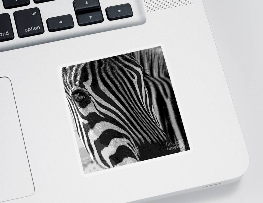 Zebra Sticker featuring the photograph Untilted by Robert Meanor