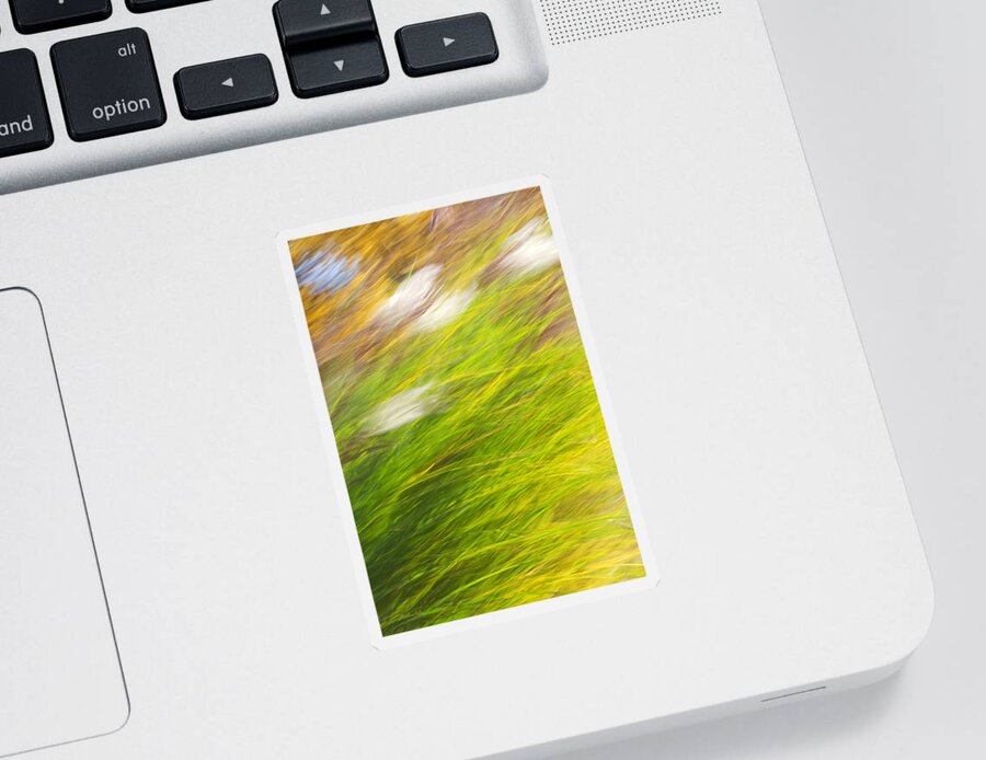 Fall Sticker featuring the photograph Fall Grass Abstract #1 by Christina Rollo