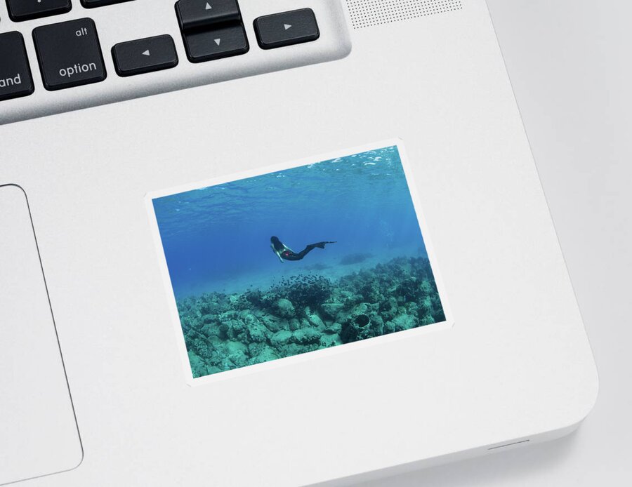 Photography Sticker featuring the photograph View Of Mermaid Swimming Undersea by Panoramic Images