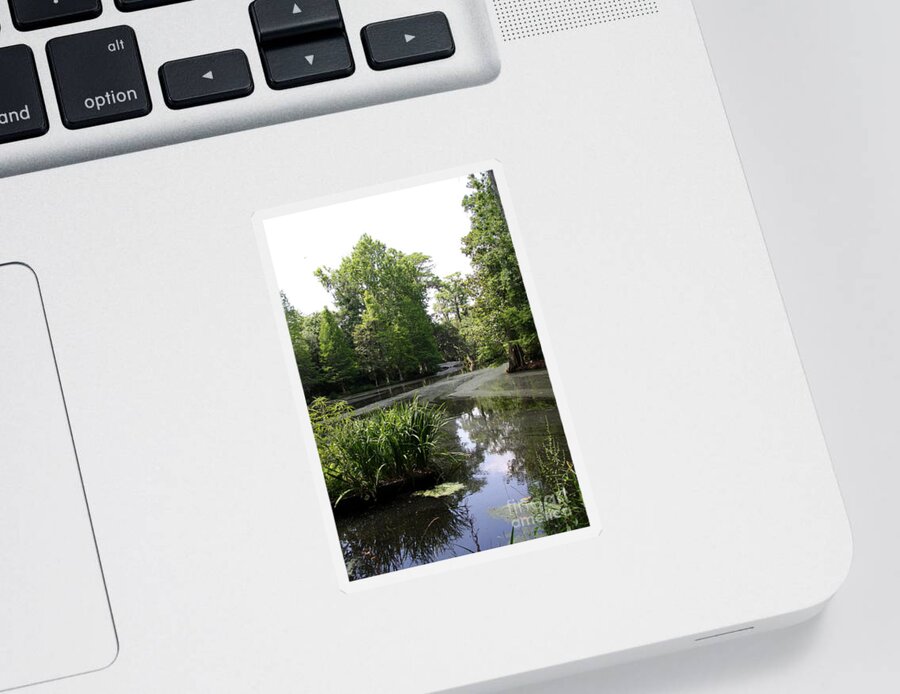 Ake Sticker featuring the photograph View Over Magnolia Plantation Lake by Christiane Schulze Art And Photography