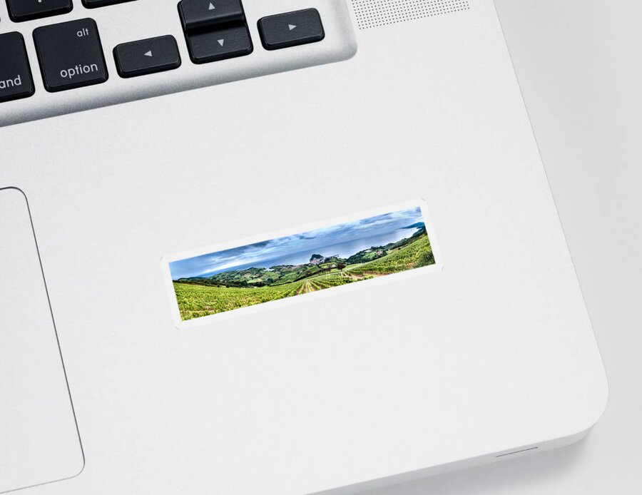 Getaria Vineyards Sticker featuring the photograph Vineyards by the Sea by Weston Westmoreland