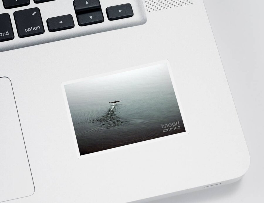 Cormorant Sticker featuring the photograph Walking on Water by Randi Grace Nilsberg
