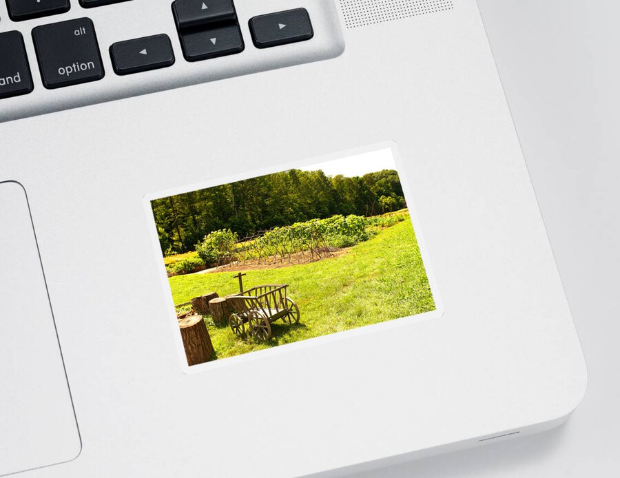 Mount Vernon Sticker featuring the photograph George Washington's Garden by Paul Mangold