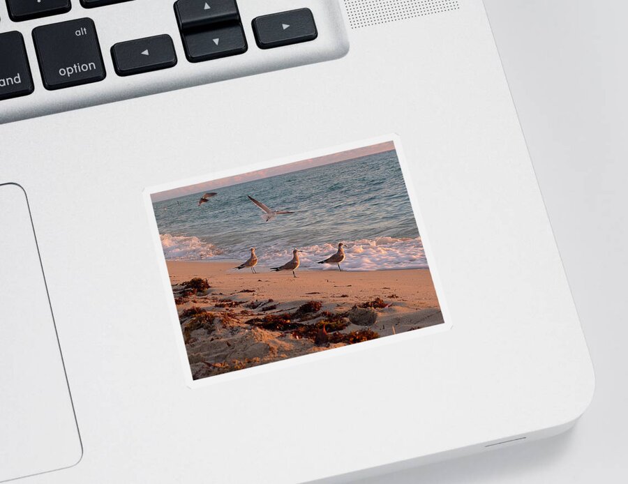 Wave Sticker featuring the photograph Watchin' the Waves Roll In by Richard Reeve