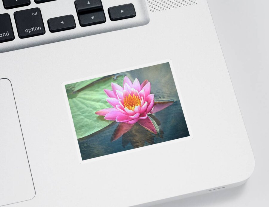 Water Lily Sticker featuring the photograph Water Lily by Sandi OReilly