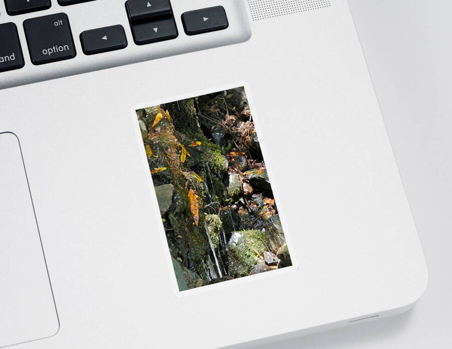 Nature Scene Sticker featuring the photograph Water of Life by Michele Myers
