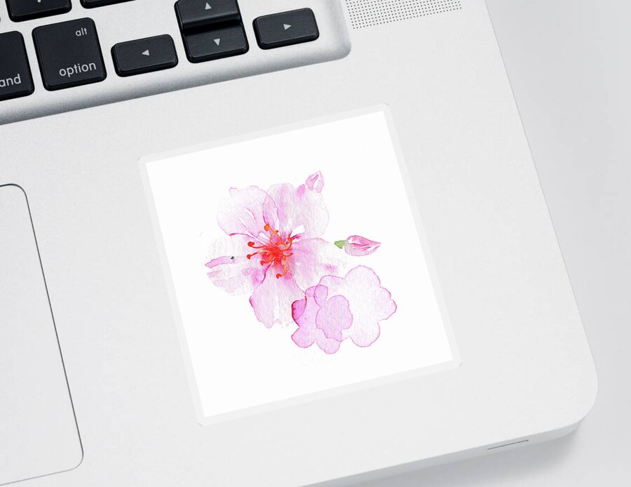 Beauty Sticker featuring the painting Watercolor Painting Of Pink Blossom by Ikon Images