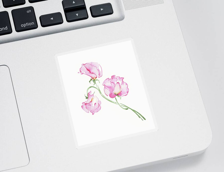 Beauty Sticker featuring the painting Watercolor Painting Of Pink Sweet Peas by Ikon Images