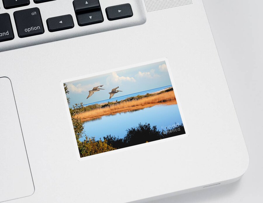 Pelicans Sticker featuring the photograph Where The Marsh Meets The Atlantic by Kathy Baccari