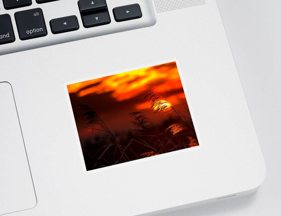 Sunset Sticker featuring the photograph Whispering Sunset by Mark Andrew Thomas
