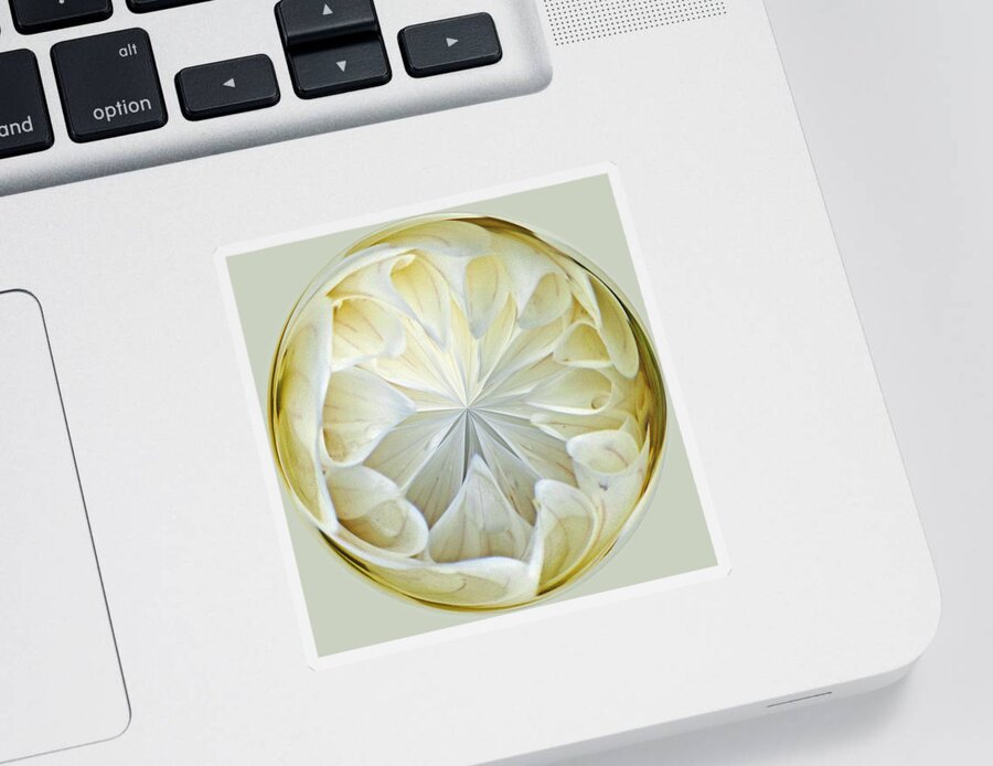 Design Sticker featuring the photograph White Dahlia Orb by Tikvah's Hope
