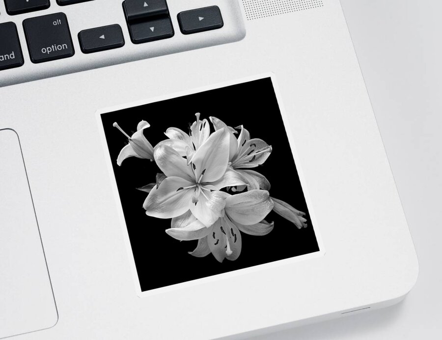 Flowers Sticker featuring the photograph White Lilies Bunch Still Life Flowers Art Print by Lily Malor