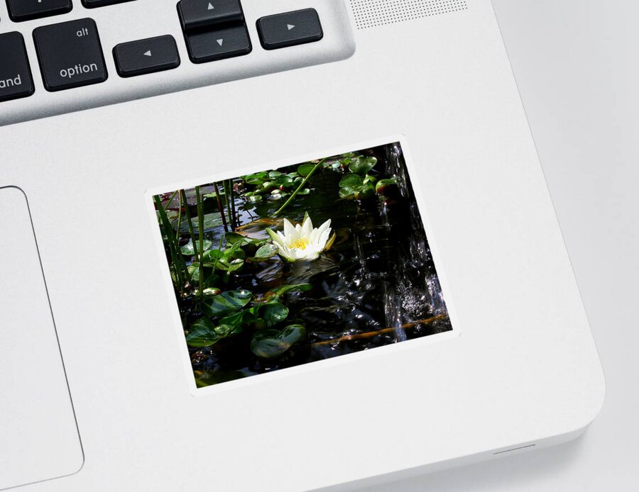 Waterlily Sticker featuring the photograph White Lily by Waterfall by Mike Kling