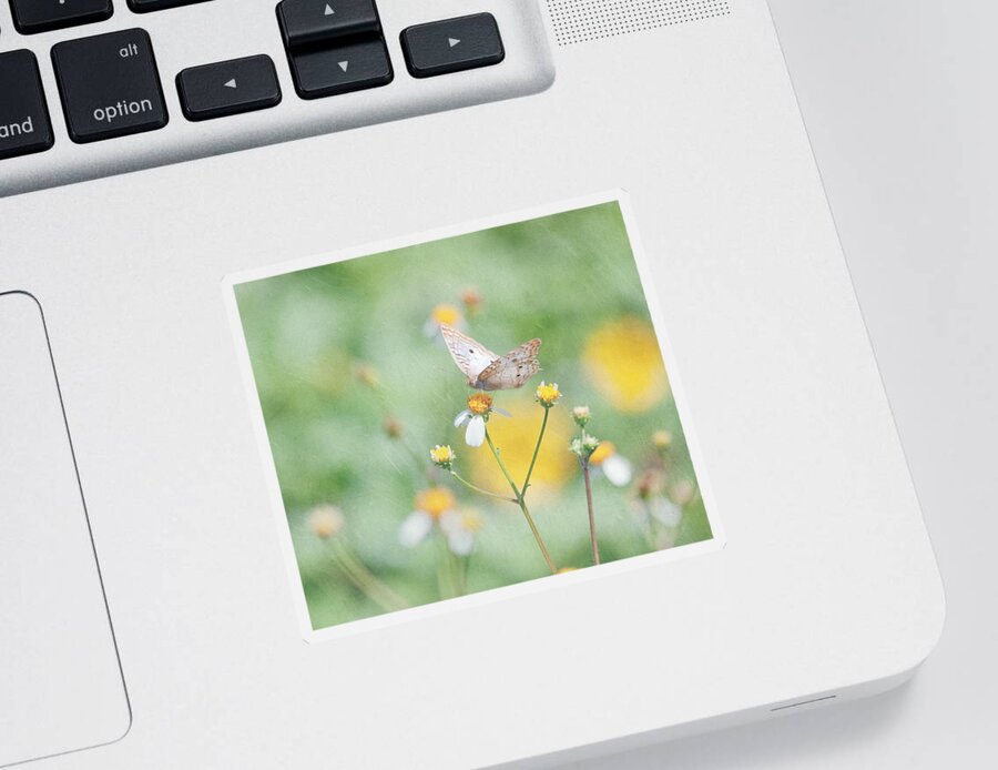 Butterfly Sticker featuring the photograph White Peacock Butterfly by Kim Hojnacki