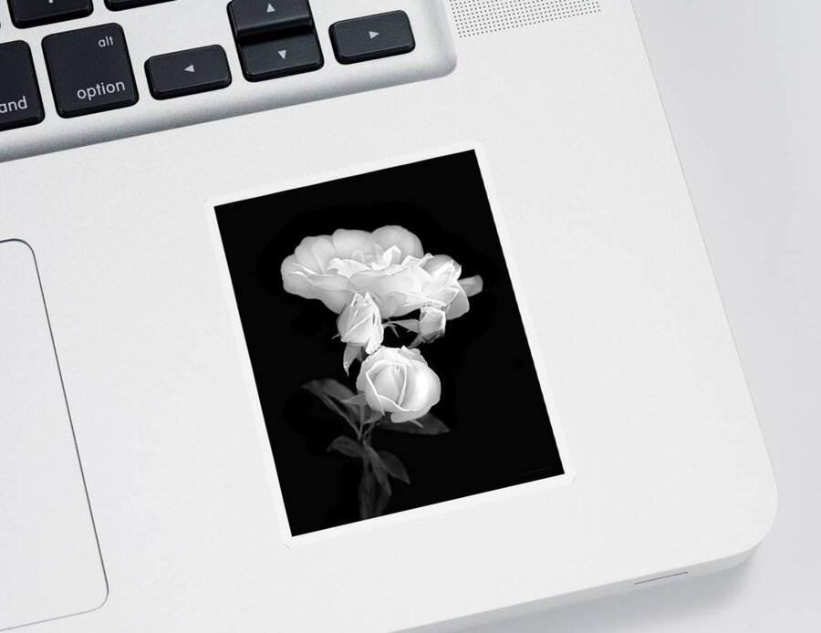 Rose Sticker featuring the photograph White Roses in the Moonlight Black and White by Jennie Marie Schell