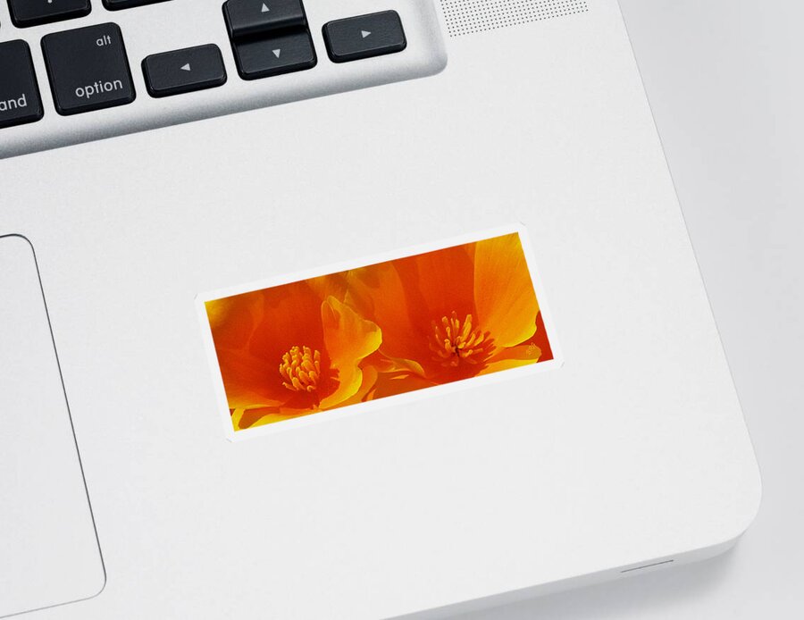 California Poppies Sticker featuring the photograph Wild Poppies by Ben and Raisa Gertsberg