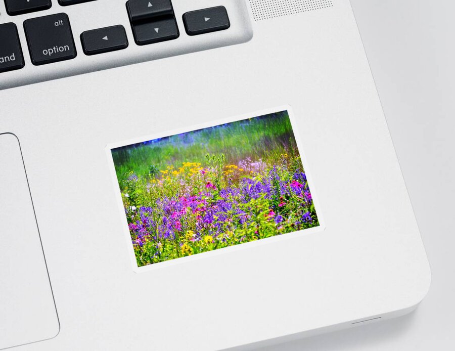 Wildflower Gardens Sticker featuring the photograph Wildflower Beauty by Peggy Franz