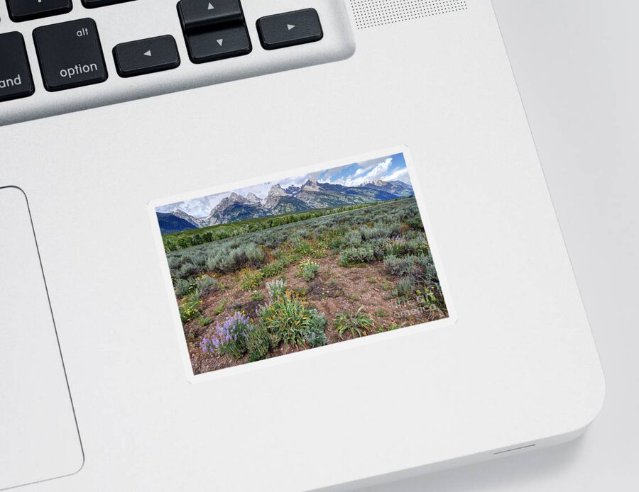 Grand Teton Sticker featuring the photograph Wildflowers Bloom Below Teton Mountain Range by Gary Whitton