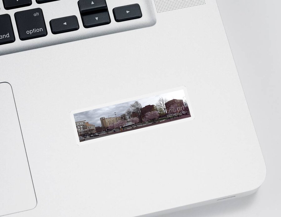 Cityscape Sticker featuring the photograph Wilkes-Barre in bloom by Christina Verdgeline