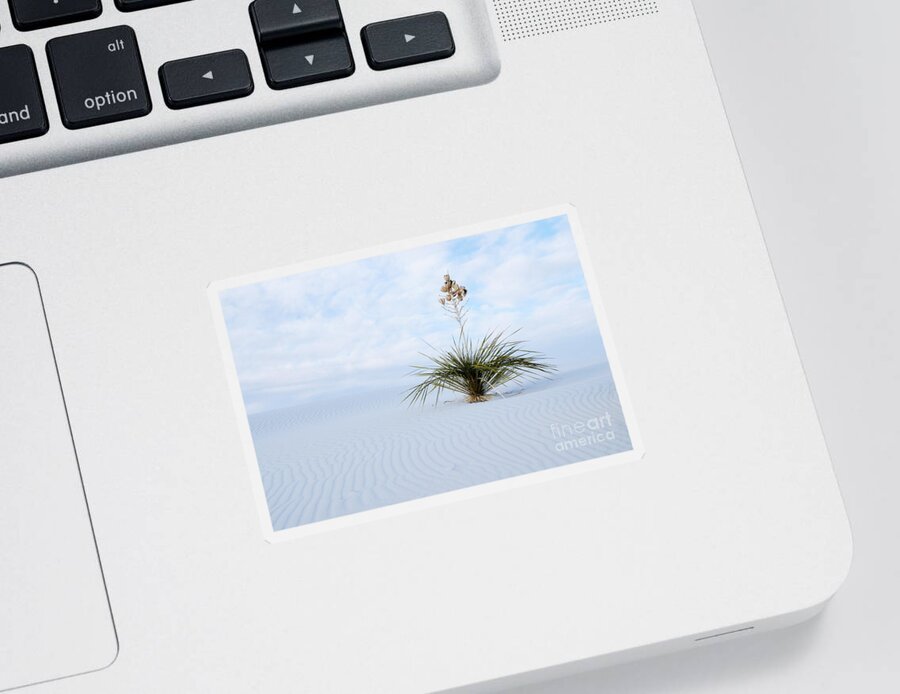 Yucca Sticker featuring the photograph Windblown Yucca by Vivian Christopher