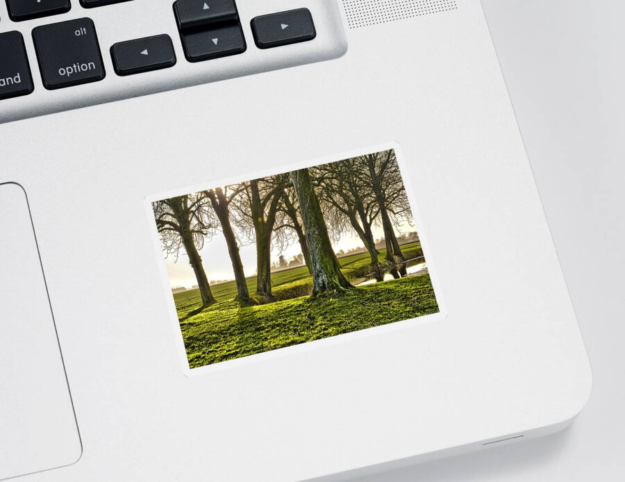 Netherlands Sticker featuring the photograph Windmill And Trees In Groningen by Frans Blok