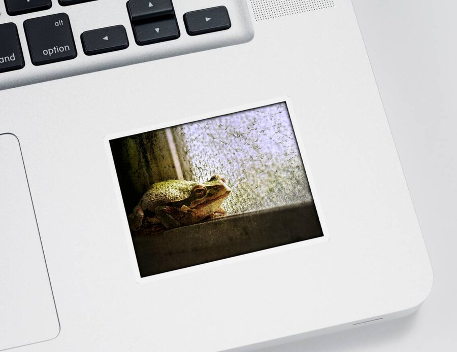 Frog Sticker featuring the photograph Windowsill Visitor by Micki Findlay